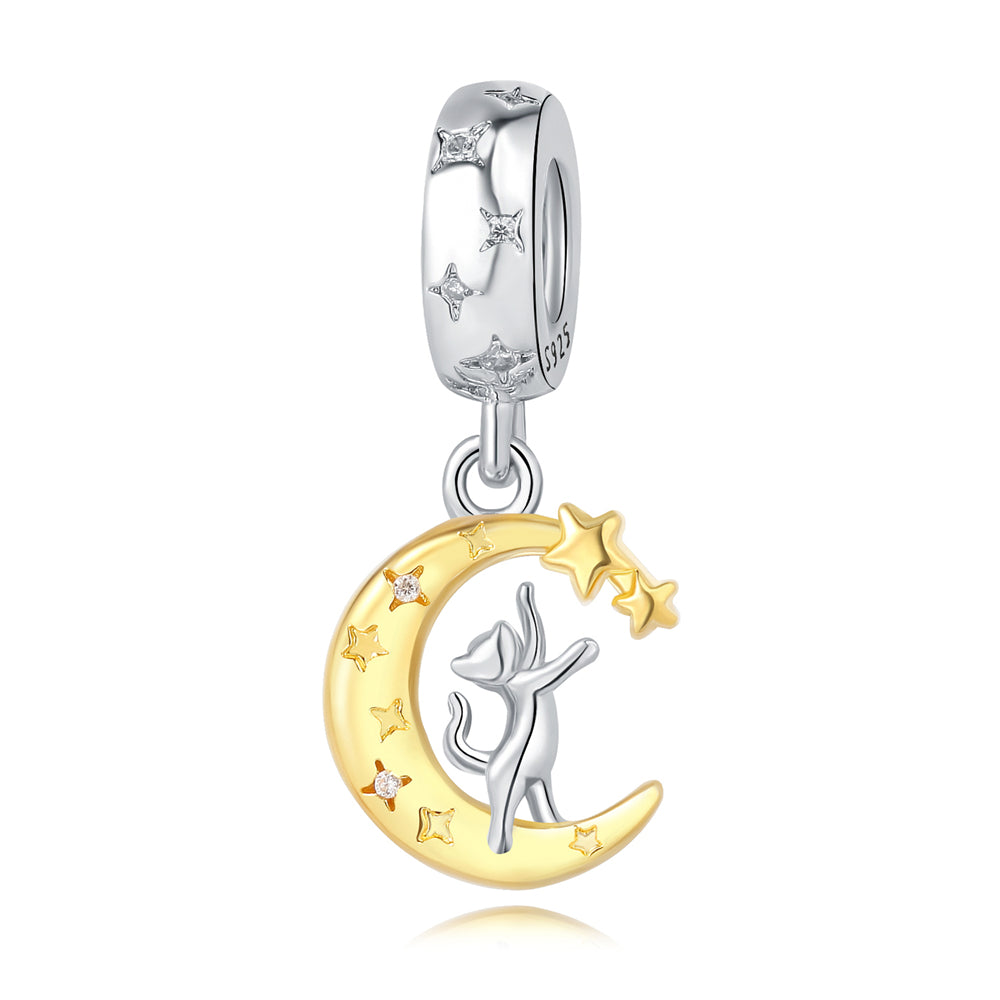 Cat Moon